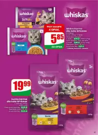 Dino gazetka tydzień 16 Strona 63