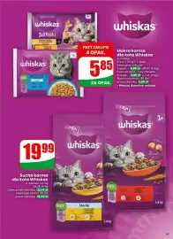 Dino gazetka tydzień 16 Strona 63