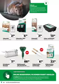 Der Grissemann Flugblatt Seite 100