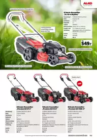 Der Grissemann Flugblatt Seite 119