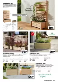 Der Grissemann Flugblatt Seite 209