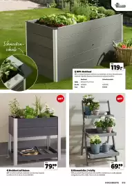 Der Grissemann Flugblatt Seite 213