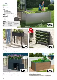 Der Grissemann Flugblatt Seite 214