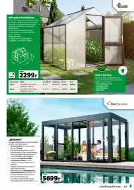 Der Grissemann Flugblatt Seite 217