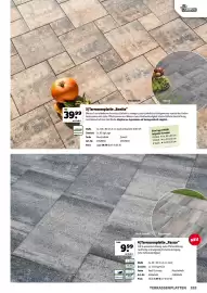 Der Grissemann Flugblatt Seite 263