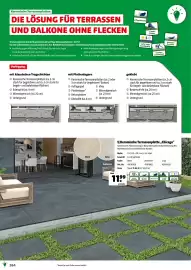 Der Grissemann Flugblatt Seite 264