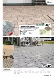 Der Grissemann Flugblatt Seite 275