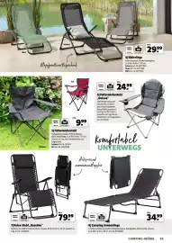 Der Grissemann Flugblatt Seite 29