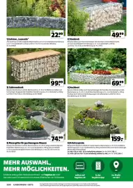 Der Grissemann Flugblatt Seite 290