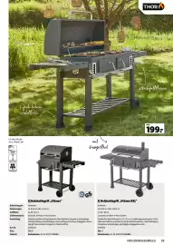 Der Grissemann Flugblatt Seite 33