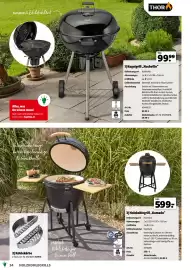 Der Grissemann Flugblatt Seite 34