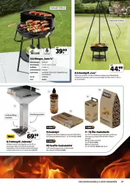 Der Grissemann Flugblatt Seite 37