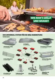 Der Grissemann Flugblatt Seite 42