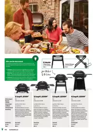 Der Grissemann Flugblatt Seite 48