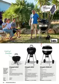 Der Grissemann Flugblatt Seite 50