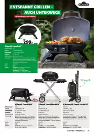 Der Grissemann Flugblatt Seite 51