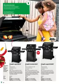 Der Grissemann Flugblatt Seite 52