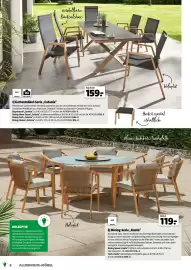 Der Grissemann Flugblatt Seite 6