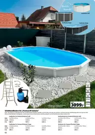 Der Grissemann Flugblatt Seite 62