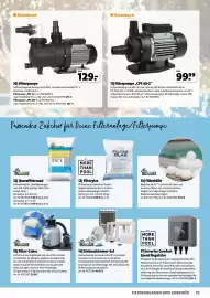 Der Grissemann Flugblatt Seite 75