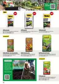 Der Grissemann Flugblatt Seite 88