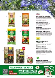 Der Grissemann Flugblatt Seite 91