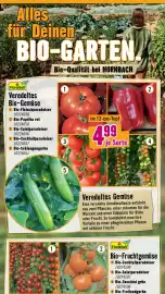 Hornbach Flugblatt Seite 3