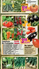 Hornbach Flugblatt Seite 4
