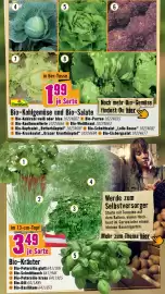 Hornbach Flugblatt Seite 5