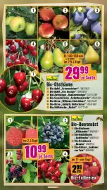 Hornbach Flugblatt Seite 6