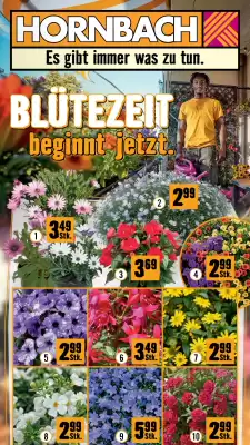 Hornbach (gültig bis 30-05)