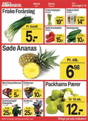 ABC Lavpris (gælder indtil 21-04)