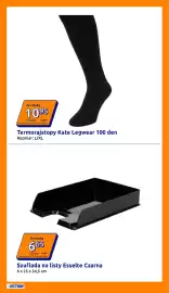 Action gazetka tydzień 16 Strona 13