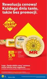 Lidl gazetka Strona 34