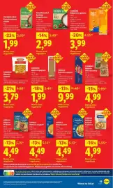 Lidl gazetka Strona 43