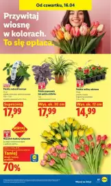 Lidl gazetka Strona 87