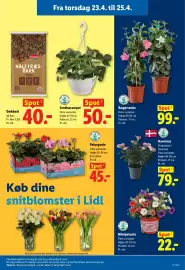 Lidl tilbudsavis uge 17 Side 33
