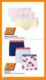 Action leták týden 16 Strana 15