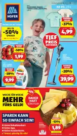 Hofer Flugblatt woche 16 Seite 1