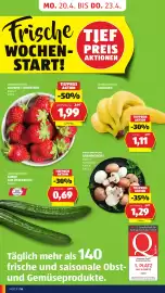 Hofer Flugblatt woche 16 Seite 18