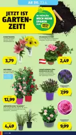 Hofer Flugblatt woche 16 Seite 34