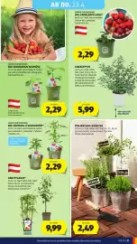 Hofer Flugblatt woche 16 Seite 35