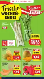 Hofer Flugblatt woche 16 Seite 6