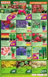 Catalogue Norma semaine 17 page 4