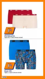 Volantino Action settimana 16 Pagina 13