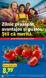 Catalog Lidl săptămâna 17 Pagină 4
