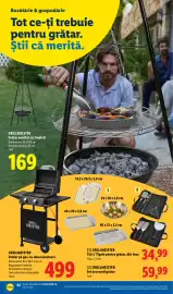 Catalog Lidl săptămâna 17 Pagină 42