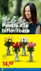Catalog Lidl săptămâna 17 Pagină 48