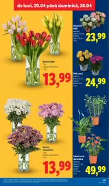 Catalog Lidl săptămâna 17 Pagină 49