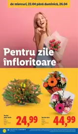 Catalog Lidl săptămâna 17 Pagină 50